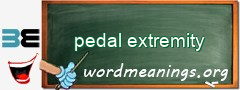 WordMeaning blackboard for pedal extremity